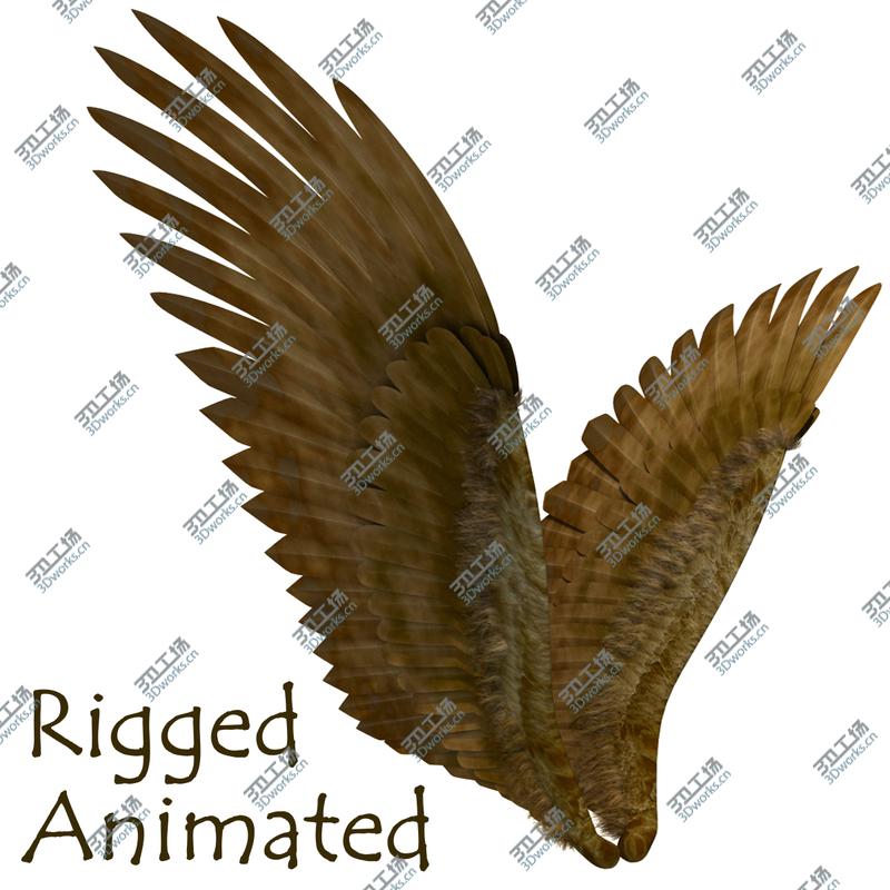 images/goods_img/2021040234/3D Wings model/1.jpg